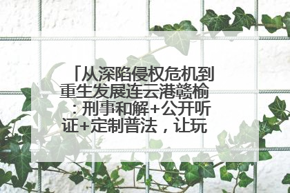 从深陷侵权危机到重生发展连云港赣榆：刑事和解+公开听证+定制普法，让玩具公司回到正轨